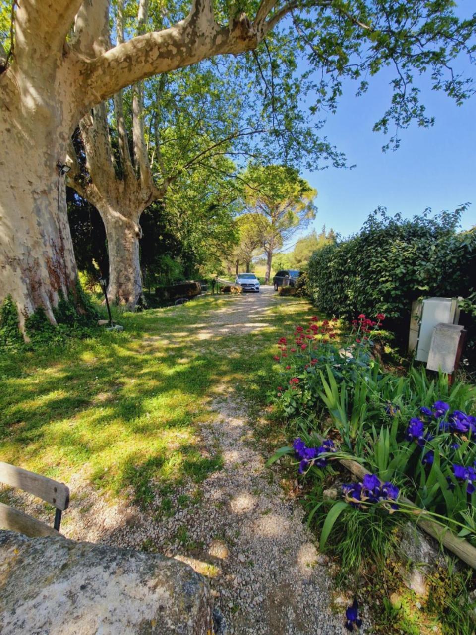לינה וארוחת בוקר Eygalières Ancien Mas Du Moulin מראה חיצוני תמונה
